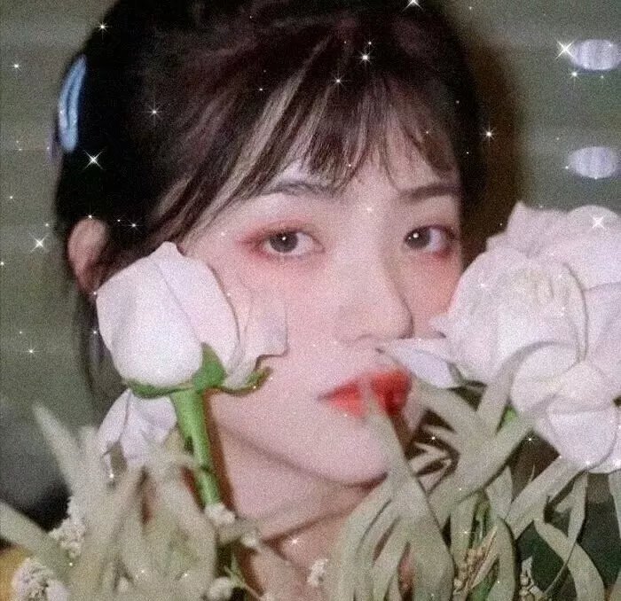 空中小姐